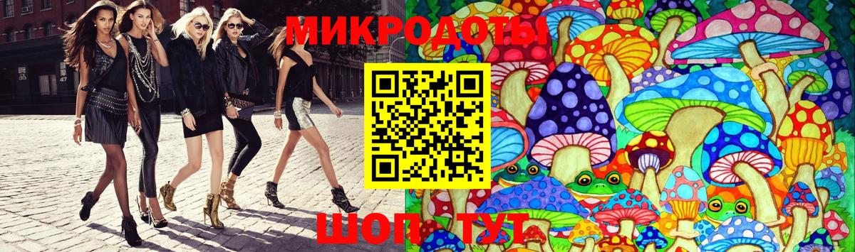 Горно-Алтайск  Псилоцибиновые грибы Psilocybine cubensis  Вход с VPN 